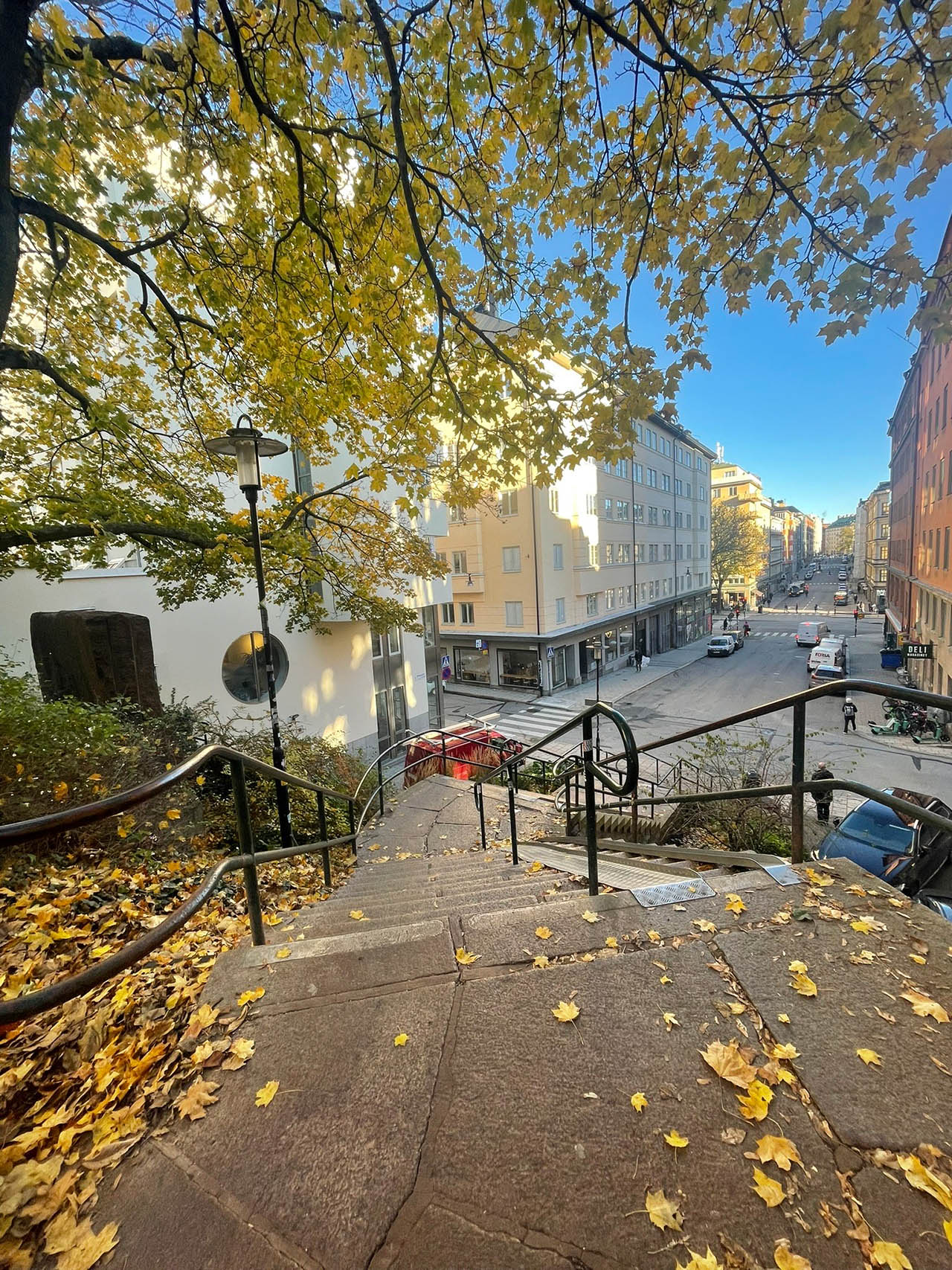 Dharma blog 1 Photography by Dharma